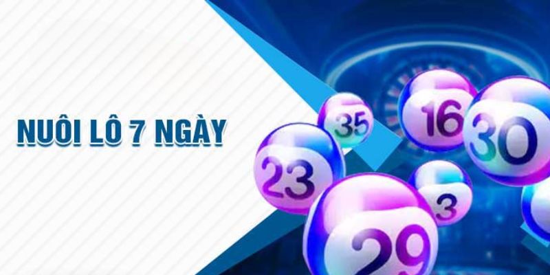 Cách chơi nuôi lô 7 ngày được nhiều người tin tưởng