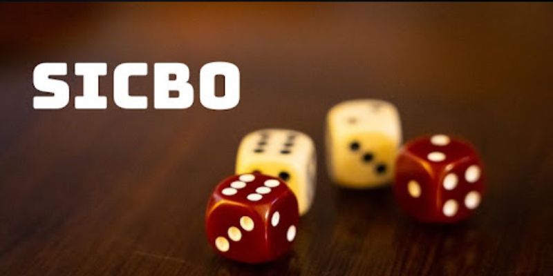 Mẹo đặt Sicbo dễ dàng giành chiến thắng cho người mới