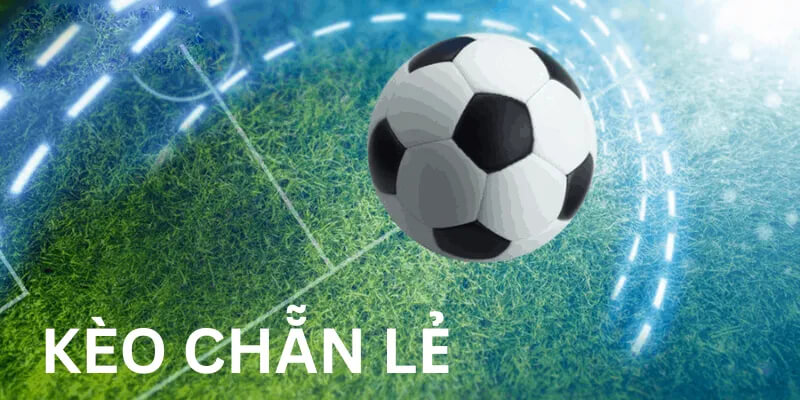 chẵn lẻ s66 cần người chơi thường xuyên cập nhật tỷ lệ đánh giá của nhà cái